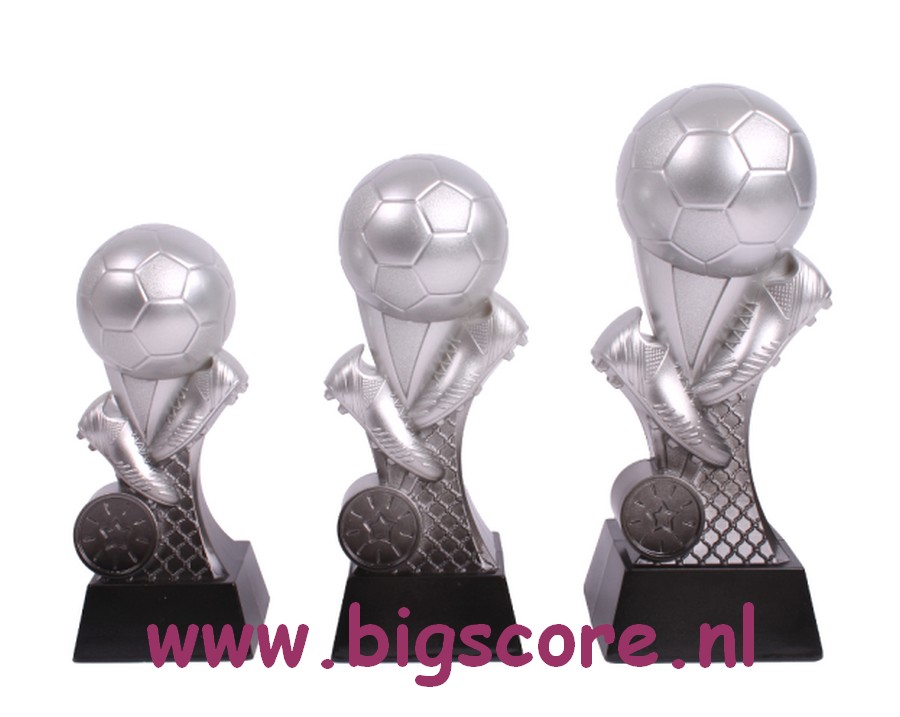  Alpha Voetbalbeeld Zilver-Zwart